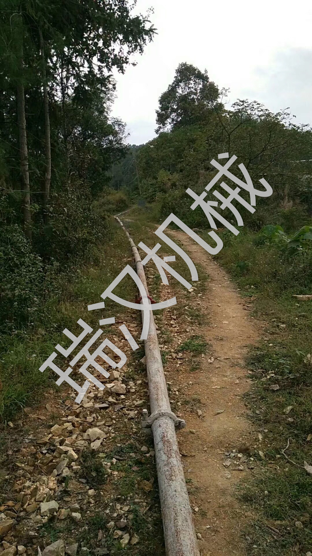 车载搅拌泵288米泵送现场8